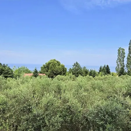 Olympus Olea