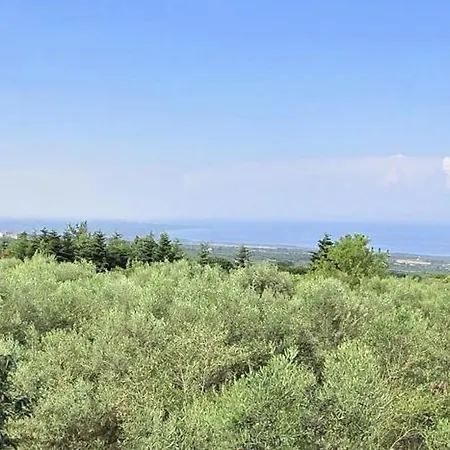 Holiday home Olympus Olea Litochoro