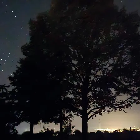 Olympus Olea Litochoro