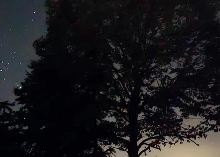 Olympus Olea Litóchoron